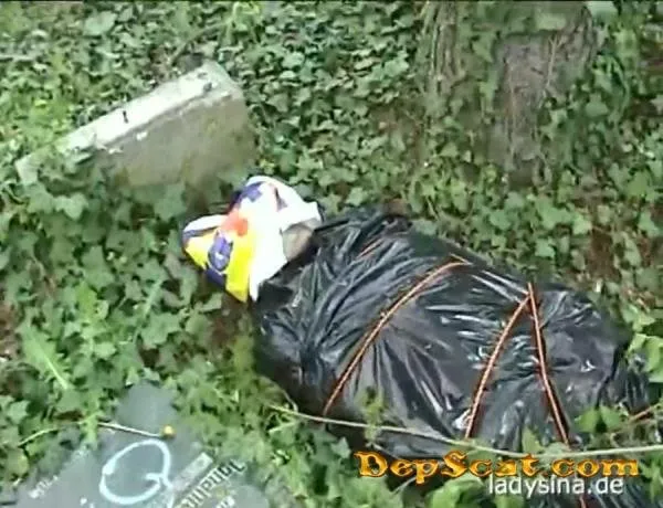 WC Lady Sina - Scat / FemDom [SD/75.6 MB] DepScat