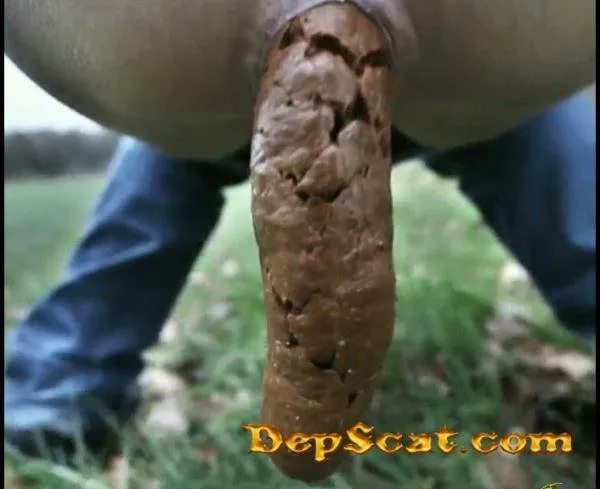 Solo Poop No. 3 ScatLilSecret - Solo Scat [FullHD 1080p/100 MB] DepScat