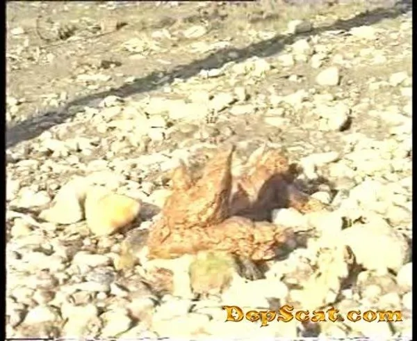 Beat Cast water Ana - Scat / Solo [SD/13.3 MB] DepScat