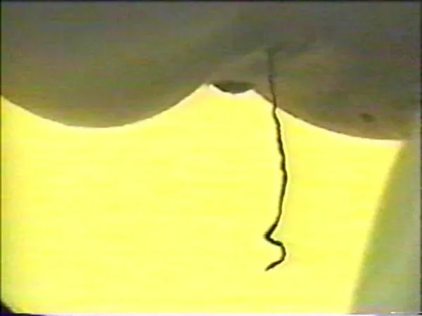 Cam Toilet 08 (japanese schoolgirls peeing and pooping (uncensored, c-quality) Jap Hidden - Japan, Scat Solo [SD/513 MB]