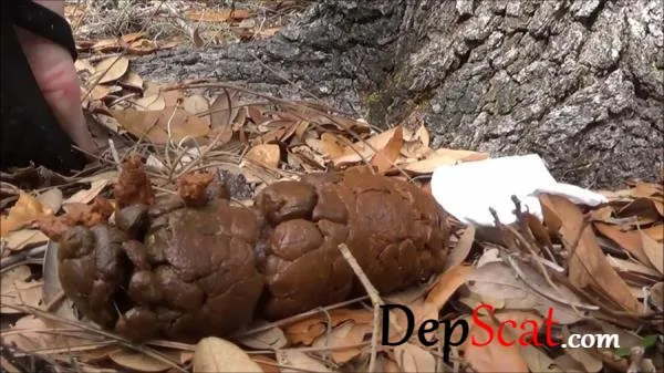 Poop 14  - Solo, Smelling [FullHD 1080p/920 MB] DepScat