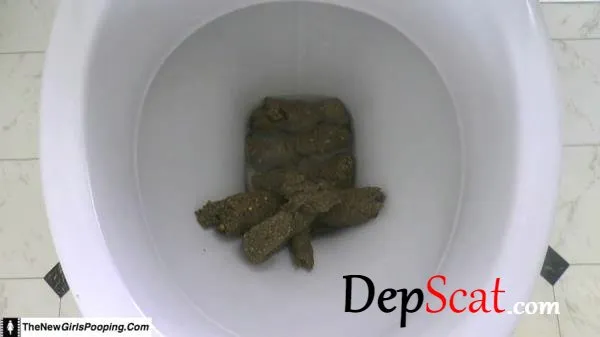 Toilet Destroyed In 5 Mins ShitGirl - Scatology, Amateur [FullHD 1080p/471 MB]