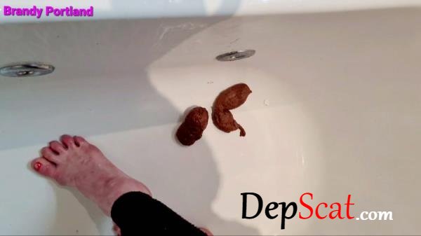 Secret Poop Full House Brandy_Portland - Solo, Defecation [FullHD 1080p/727 MB]