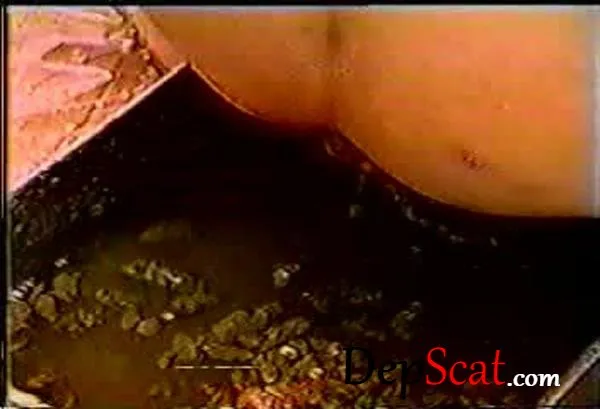 Rare Scat Enema Amateur - Scat, Japan [DVDRip/265 MB] DepScat
