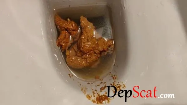 Big Load in the WC AinaraX - Piss, Defecation [FullHD 1080p/1.12 GB]