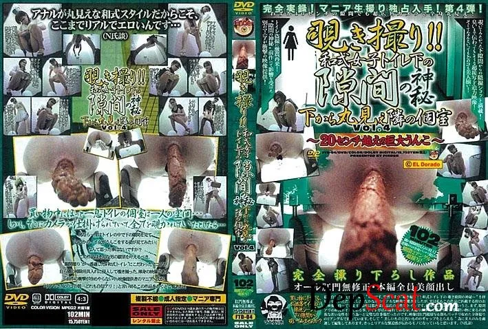 Girls sit down on the toilet and shitting, kind of women’s excretion from below. (スカトロ,Scatting,Copro) FTD-04 [SD/639 MB]