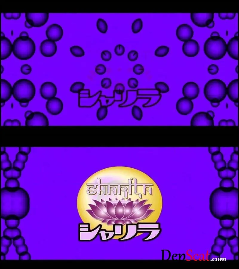 Cute girls pooping 3 view angles camera. (Closeup,Defecation,DLSL-028) BFNS-10 [HD 720p/835 MB]