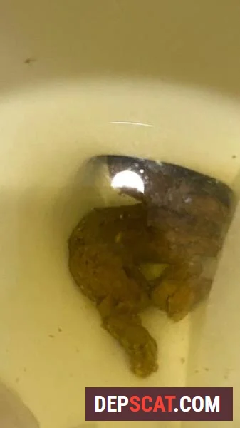 Shitting On The Bathroom Floor At Work Brownsensations - Poop, Big Ass [SD/347 MB]