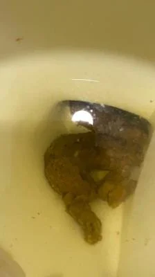 Shitting On The Bathroom Floor At Work Brownsensations - Poop, Big Ass [SD/347 MB]