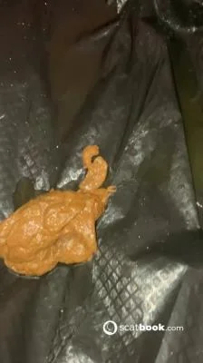 Hairy Pooping Butthole Aurora Jolie - Poop, Amateur [SD/54.7 MB] DepScat