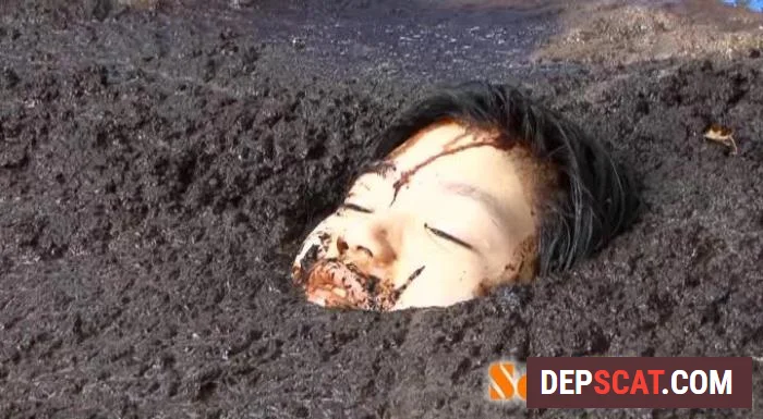 JAV - Cow shit Vol.02 JAV -  [DVDRip/1.11 GB]