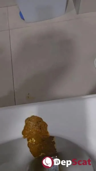 Download Miss Lith Dominates in Spanish Toilet Slavery Scene from DepScat