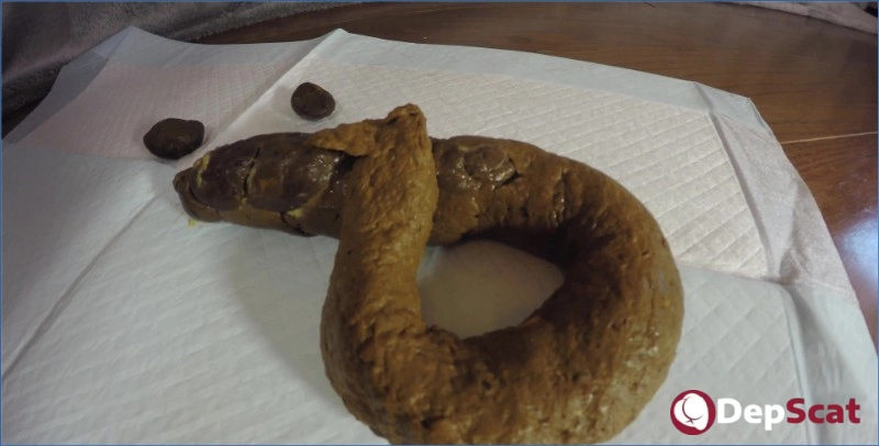 LoveRachelle2 Scat POV UltraHD 4K - Shitting & Smearing