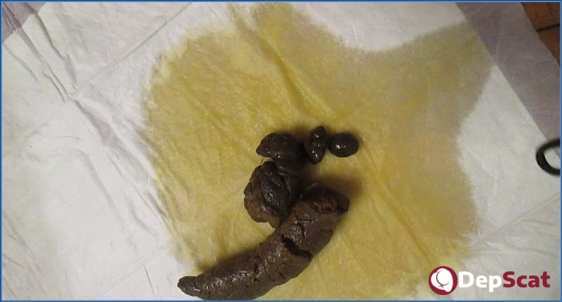 Katastrophic's Scat and Pee Fetish Solo in HD 720p