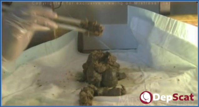 Download TheOnlyScatQueenDelilah: Intense Scat Femdom - Puerto Rico SiteRip DepScat.com