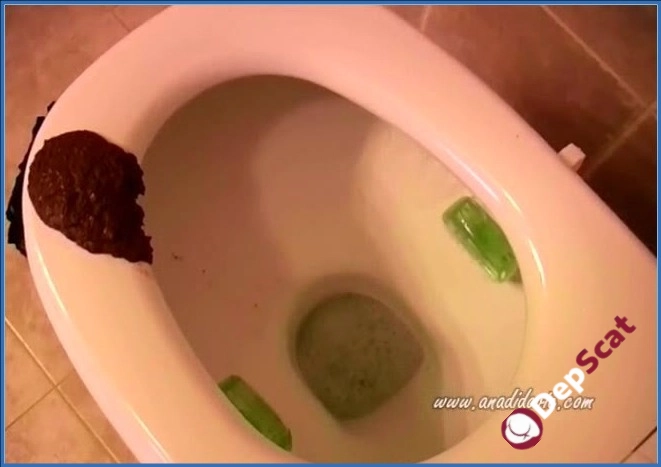 Ana Didovic & Santara: Intense Scat and Anal Scene - SiteRip