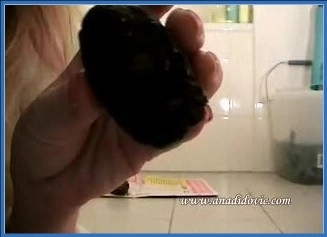 Download Ana Didovic Delivers Intense Efro Scene in HD Netherlands Exclusive from DepScat