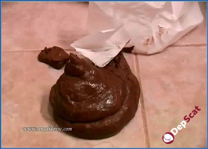 Download Ana Didovic and Santara's Scat and Anal Adventure in the Netherlands from DepScat