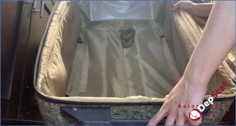 Download Marinayam19 - Shit in Suitcase, Dragged Around town! FullHD Quality from DepScat