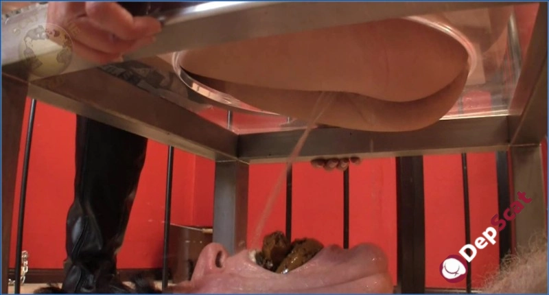 Brazilian hottie in a wild scat orgy, 4K vid