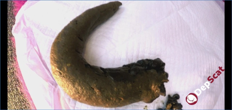 Download Blonde Goddess Dominates in Toilet Slave Femdom 4K Video DepScat.com