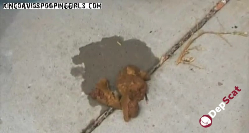 Download Alina's Taboo Tale: Dark Secrets at Daisy Outdoor Dump, Quality Assured DepScat.com