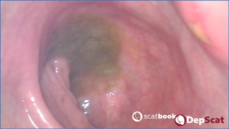 Sweet Tinqerbell's Russian gaping vid. FullHD, bro.