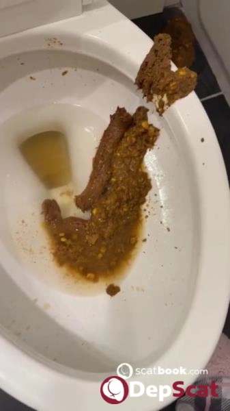 Download Bossy Delilah's Bathroom Blunder Scatbook Premium Release DepScat.com