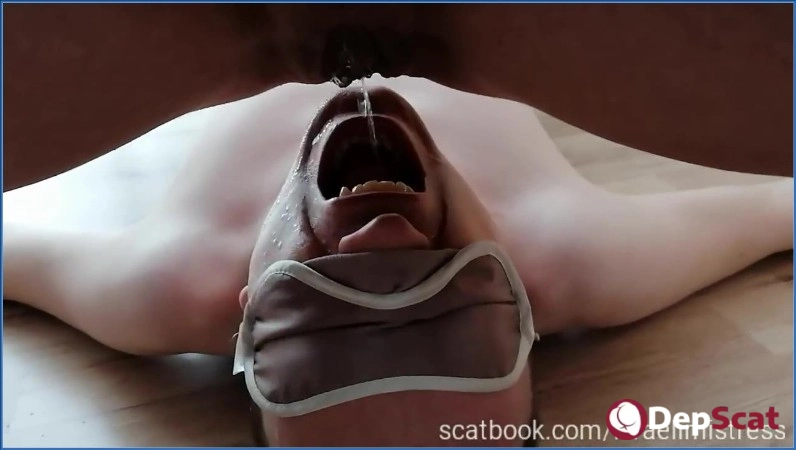 Download Cheap toilet slut serve his Mistress - Scat, Pissing - HD 720p (8.35 MB) from DepScat