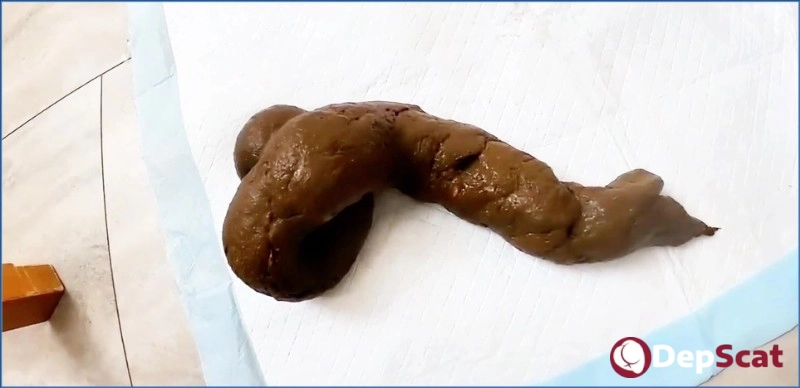 Download Pulsifer Paprocki – Scared Shitless 5 Day Post-op Shit - Scat, Piss - FullHD 1080p (556.01 MB) from DepScat