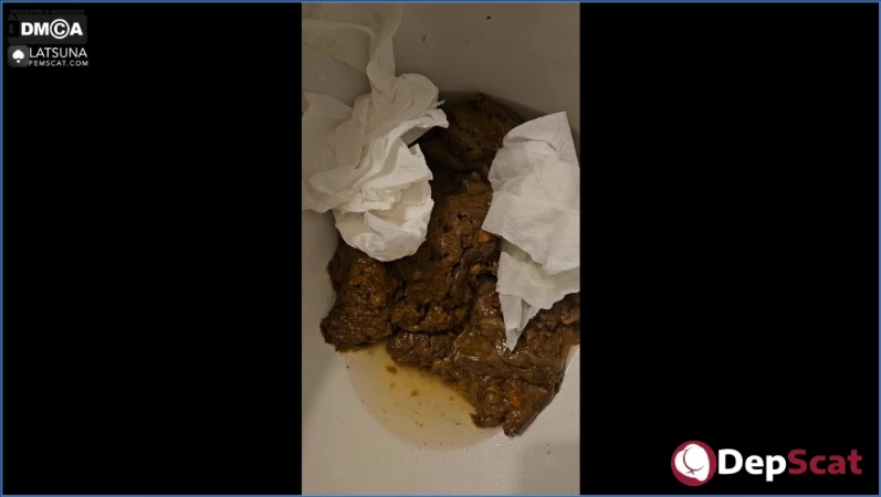 Download Toilet Miracle - Scat, Anal - FullHD 1080p (465.53 MB) from DepScat