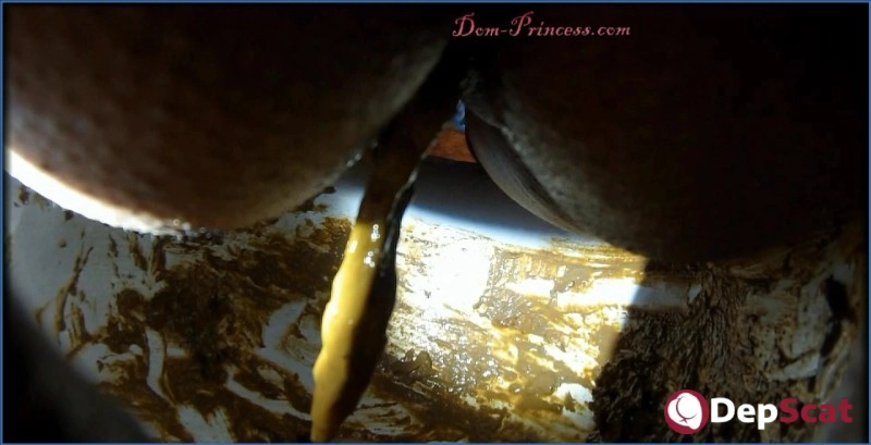 Download Naomi's Extreme Sadomasochism Shitfest in FullHD DepScat.com