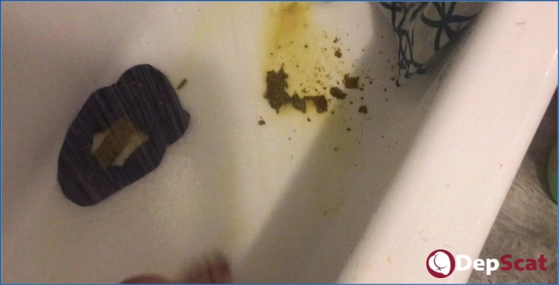Ellie Shae - Scat Toilet - American Scat - FullHD 1080p