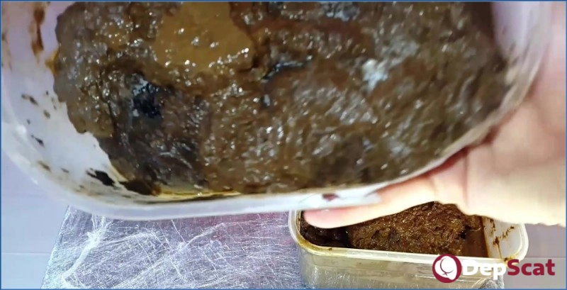 Download Anna Coprofield Scat POV Extreme - Fill My Pussy 7 - Part 3 FullHD 1080p Download from DepScat