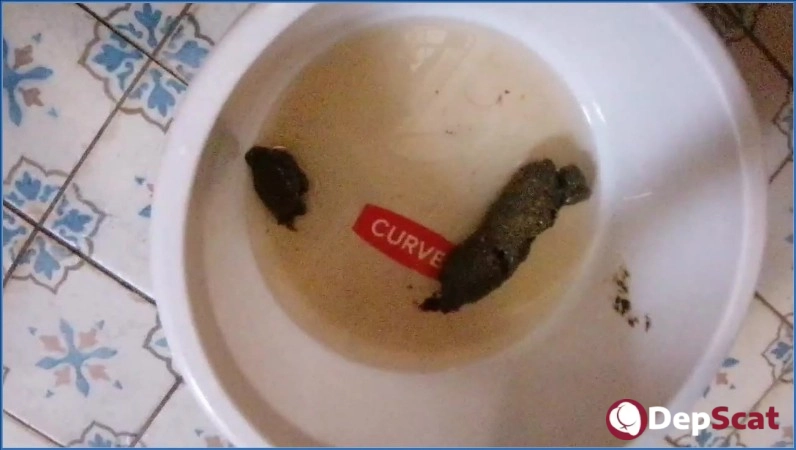 Download Strict Jardena's Extreme Scat and Pissing Domination in HD 720p from DepScat