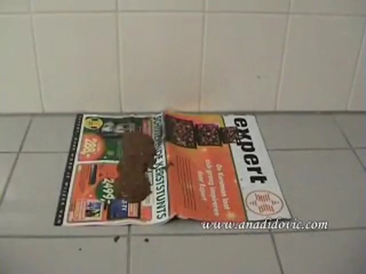 Download Ana Didovic Squats for a Quick Messy Poop Solo DepScat.com