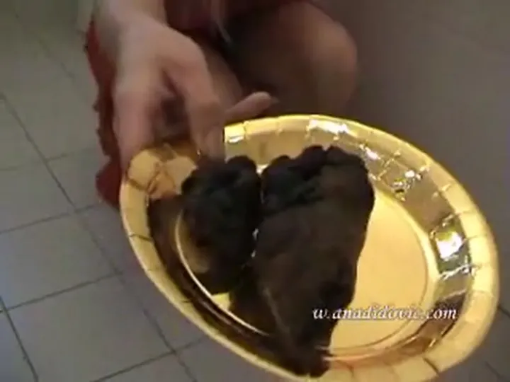 Ana Didovic Kicks Off 2008 With A Messy Poop Clip