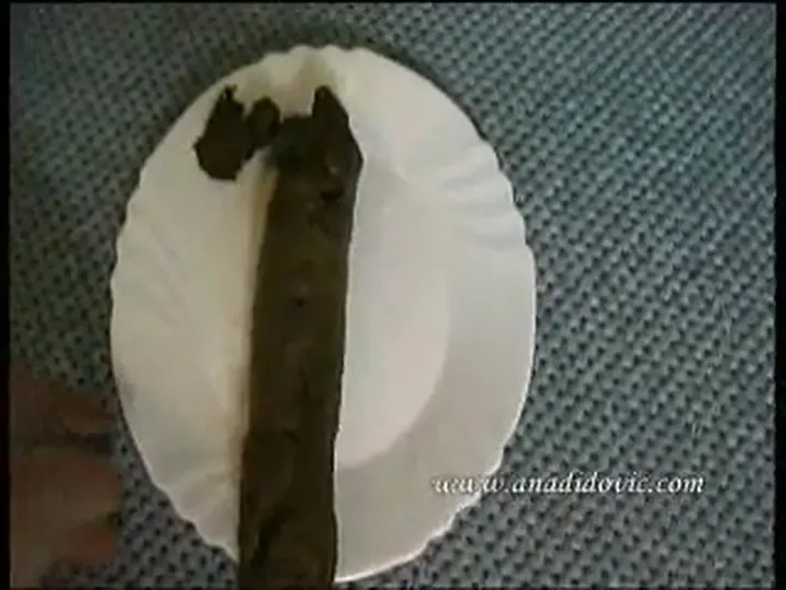 Download Ana Didovic Gets Grimy with a Long Solo Dump Clip DepScat.com