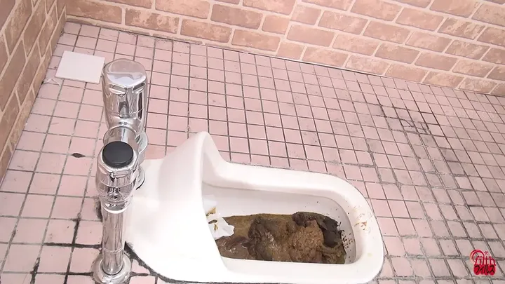 [FF-452] Stinky Poops and Clogged Toilets from JADE